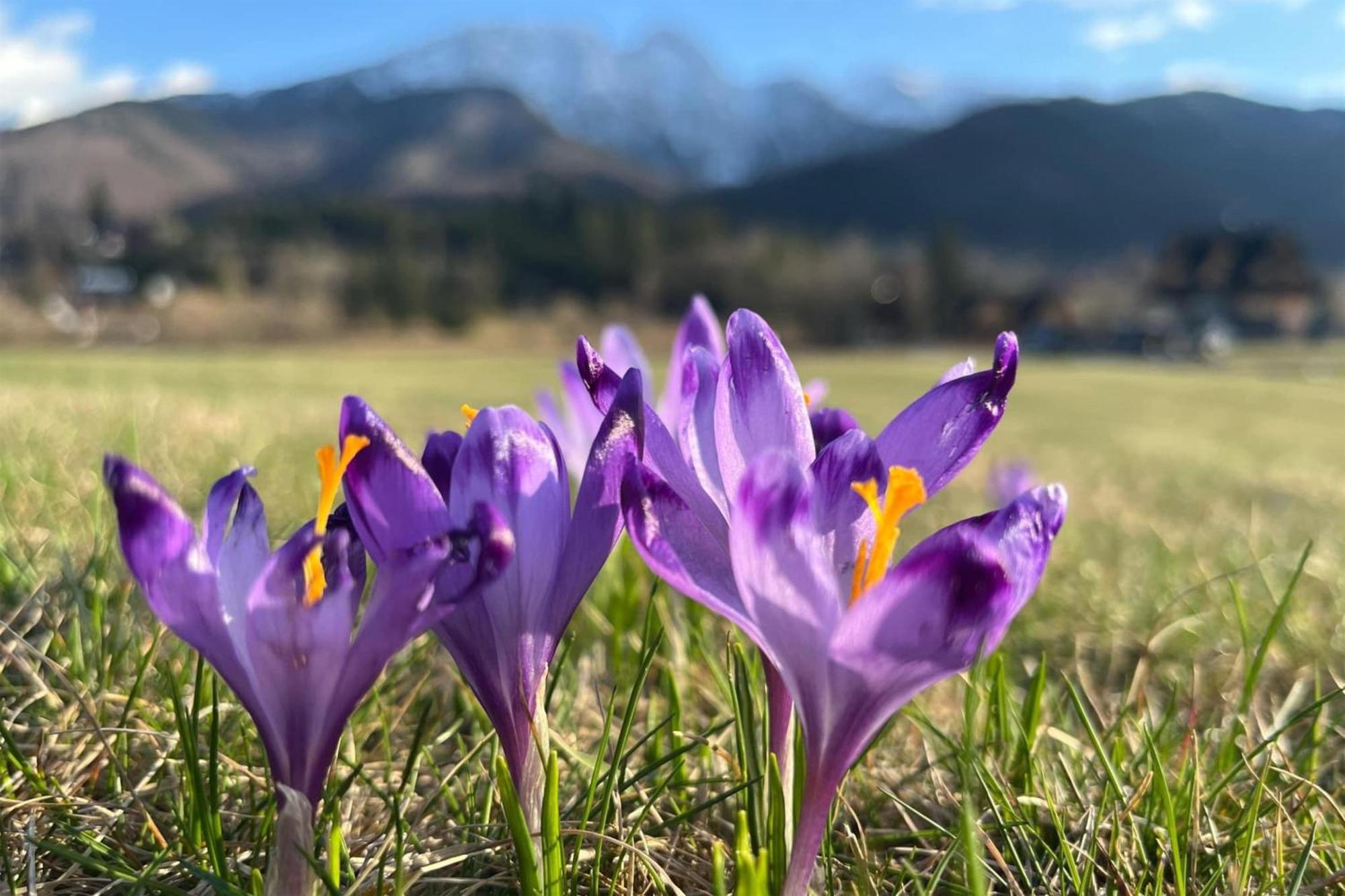 Radisson Blu Hotel & Residences Zakopane — Foto’s 2